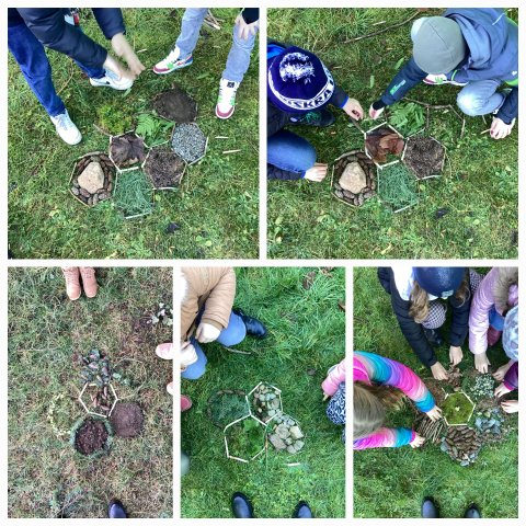 3 as busy as a beaver or bees maths in art